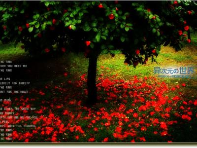 细心品味雨的心情——钢琴曲推荐 Kiss The Rain 《雨的印记》