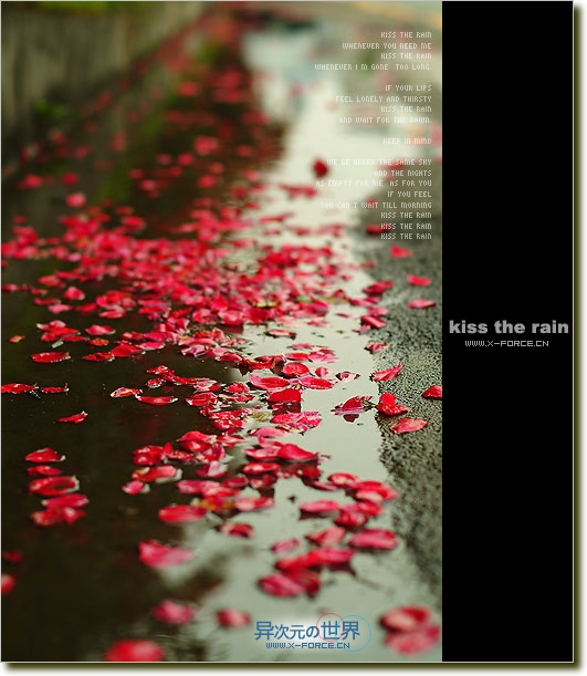 细心品味雨的心情——钢琴曲推荐 Kiss The Rain 《雨的印记》