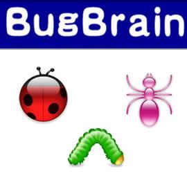 BugBrain