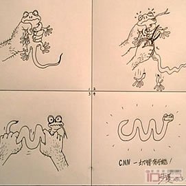 CNN：一切皆有可能