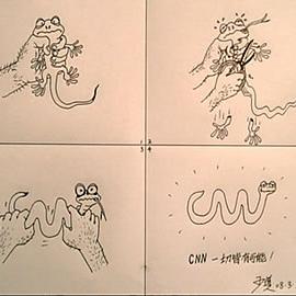 CNN：一切皆有可能