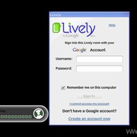 Google版的“第二人生”3D虚拟社区，叫做“Lively”