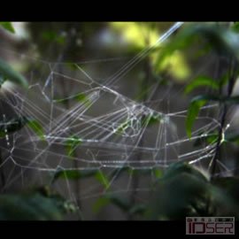 图片是nike的广告（Nike&Spider）