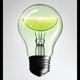 IDEA 2008