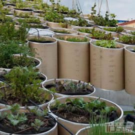 图片是纽约Work Architecture公司的公共农场(Public Farm)