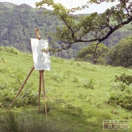 图片是Tim Knowles的Tree Drawing
