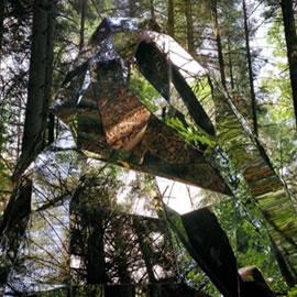 艺术家Michel De Broin的Superficial