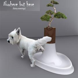 Nowhere But Here（就在这）
