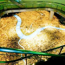 上海城市规划馆三楼的上海2020年城市规划模型