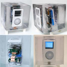 iPOD标本（Exploded iPOD）