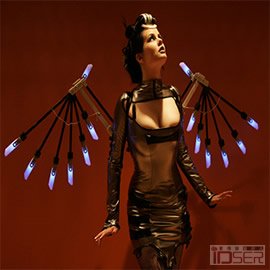 图片是Cybertek Wings