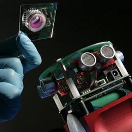 世界上第一个完全由生物介质脑袋控制的智能机器人Meet Gordon