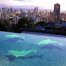 游泳池里的立体绘画