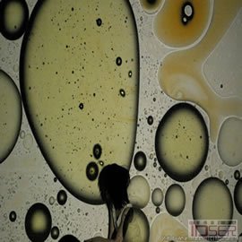 图片是流体都市（Fluid City）