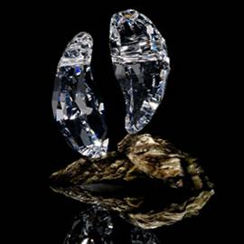 摄影师John Short拍摄的施华洛世奇水晶