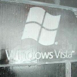 微软在多伦多的闹市区建造的Vista冰屋