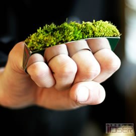 图片是设计师Hafsteinn Juliusson 带来的“成长中的珠宝”(Growing Jewelry)