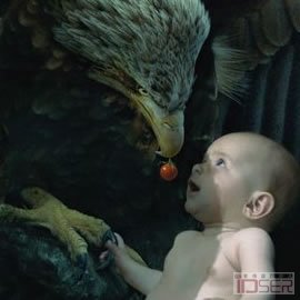 图片是保护生物多样性的公益海报：我们命运相连（Linked Destiny）