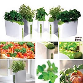 图片是mini菜园（power plant mini）