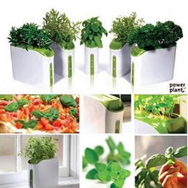 mini菜园（power plant mini）