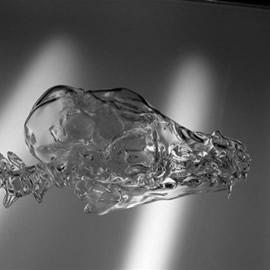 瑞士苏黎世艺术家Melli Ink的玻璃骨骼艺术