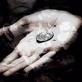 Theory 11魔术网站