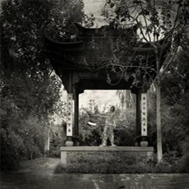 来自上海的摄影师马良的作品