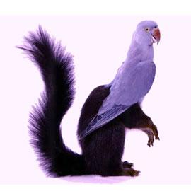 德国艺术家Thomas Grünfeld的“错位”