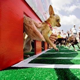 摄影师Dustin Snipes的作品