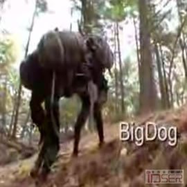 图片是美军的机器狗Bigdog
