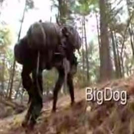 美军的机器狗Bigdog