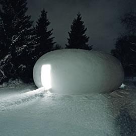 来自摄影师Phillip Toledano的极地摄影