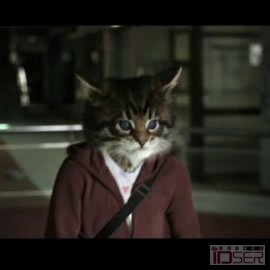 图片是丰田花冠的广告：忍者猫（Toyota Corolla: Ninja Kitty）