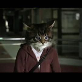丰田花冠的广告：忍者猫（Toyota Corolla: Ninja Kitty）