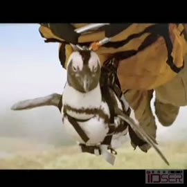 图片是 Washington Lottery: Birds