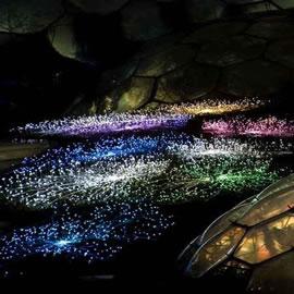 灯光设计师Bruce Munro在英格兰的康沃尔伊甸园的灯光作品