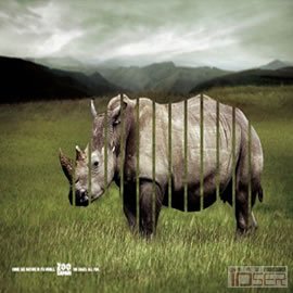 图片是 Zoo Safari: Rhino