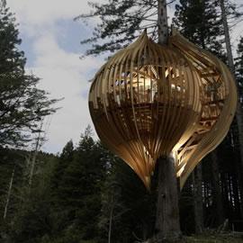 Pacific Environments Architects 建筑设计室设计的 The Yellow Treehouse Restaurant