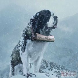 图片是Financial Times: St Bernard