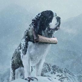 Financial Times: St Bernard