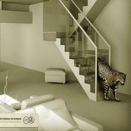 AFE: Jaguar