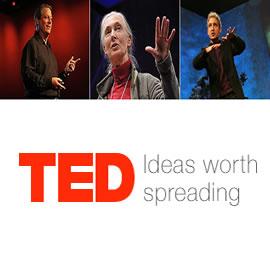 一个网站 TED.com