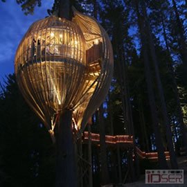 图片是 Yellow Treehouse Restaurant