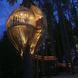 Yellow Treehouse Restaurant