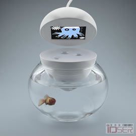 图片是 My CHUMBY’s Fish