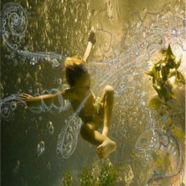 Zena Holloway 的水下摄影