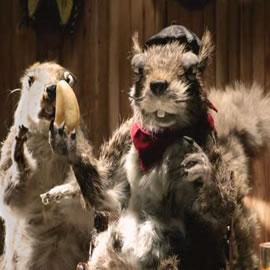 Hornet 动画工作室的作品