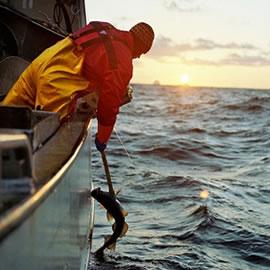 渔夫和摄影师 Corey Arnold