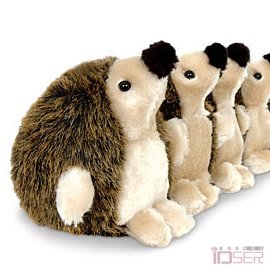 图片是 Hedgehog Excluder