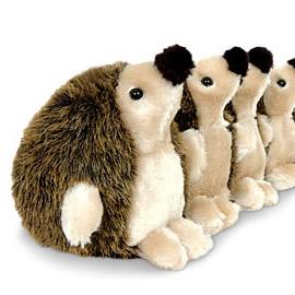 Hedgehog Excluder
